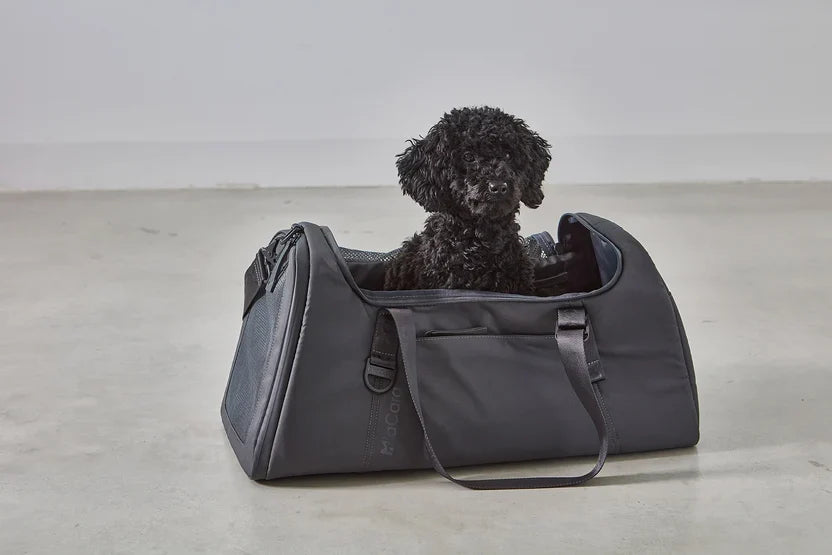 Voyage — Chien