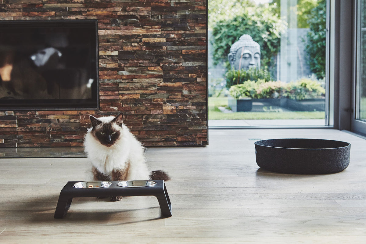 La Table — Chat