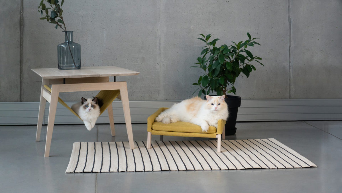 Labbvenn KIKKO & LULU, miel