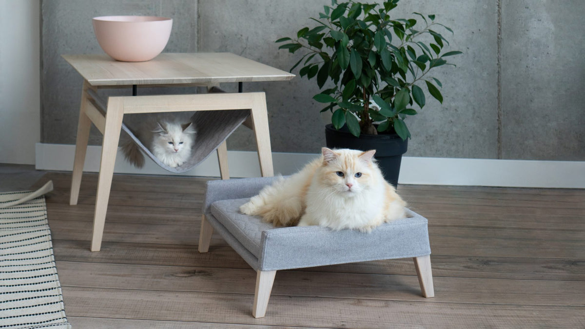 Ensemble KIKKO et LULU gris clair en situation