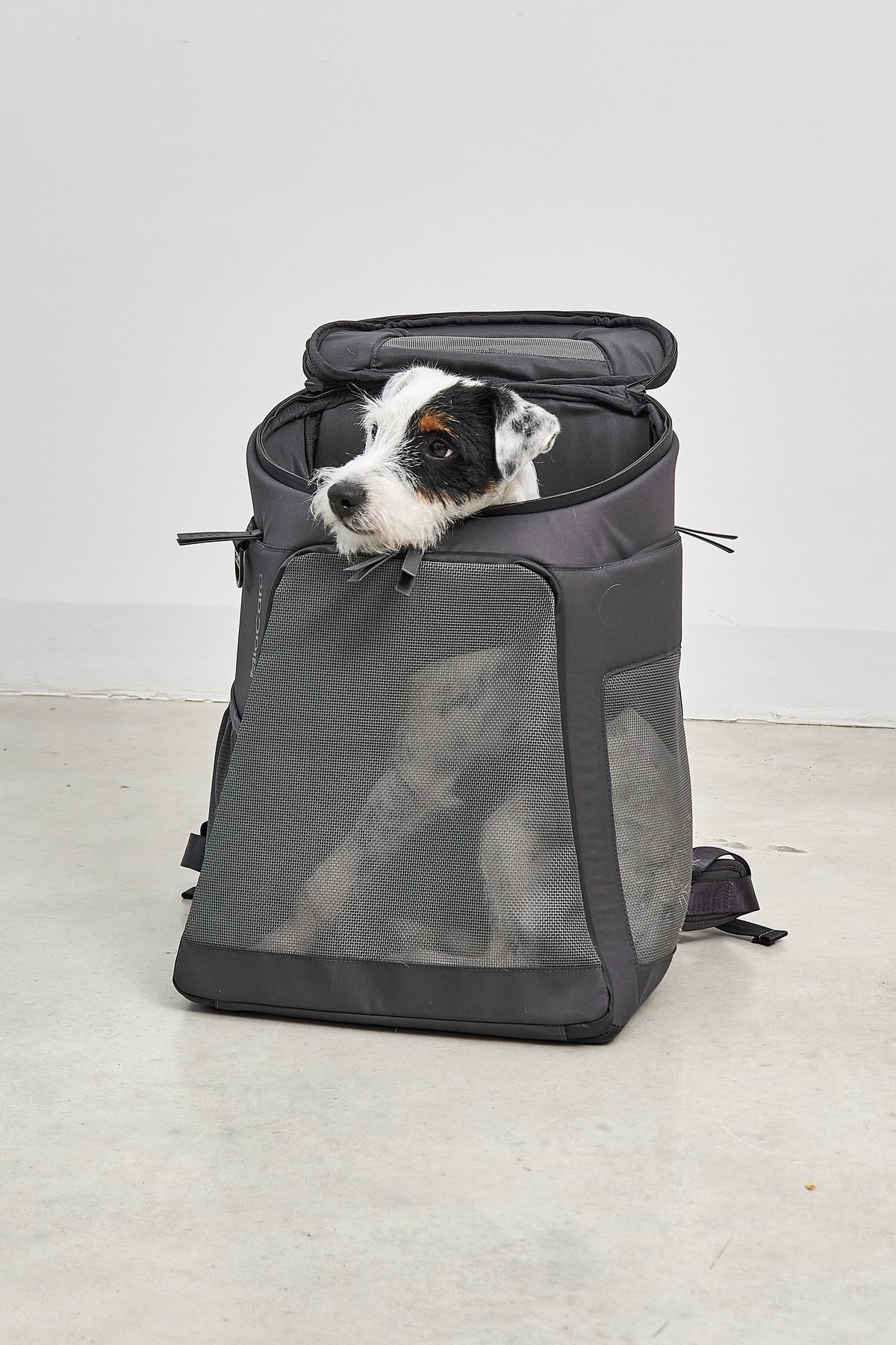 Sac à dos de transport MiaCara Zaino pour chien, asphalte. © MiaCara