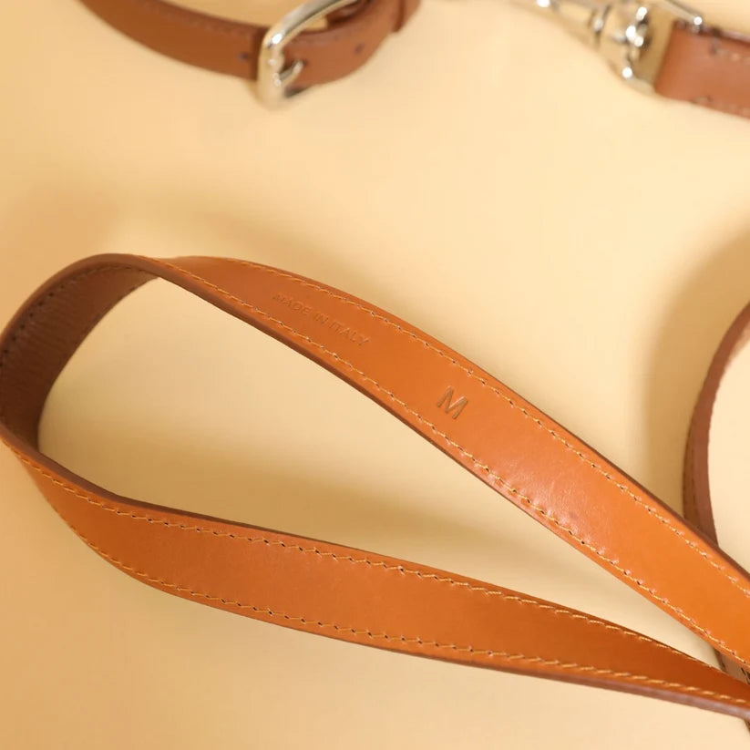Molly & Stitch Toscane — Ensemble collier et laisse, Châtaignier