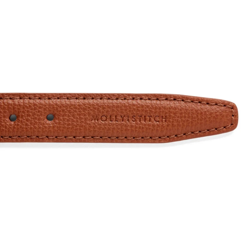 Molly & Stitch Toscane — Ensemble collier et laisse, Châtaignier