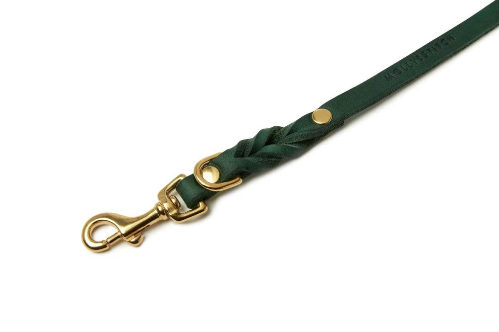 Molly & Stitch Cuir beurré — Le Trio collier, laisse 3x et harnais en Y, Vert Forêt