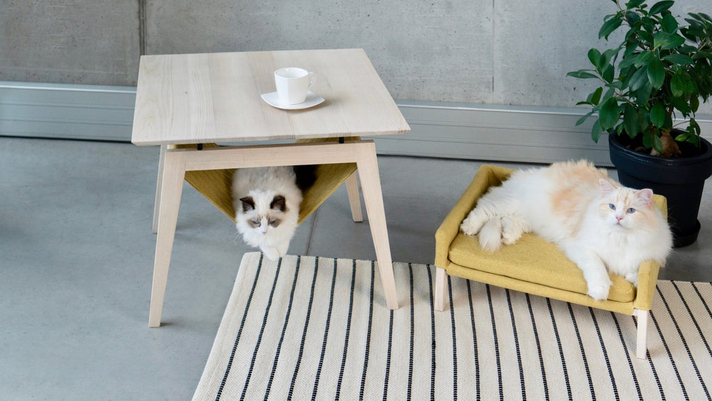 Labbvenn KIKKO & LULU, miel