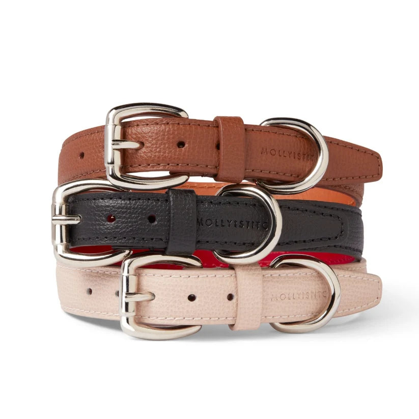 Molly & Stitch Toscane — Ensemble collier et laisse, Châtaignier