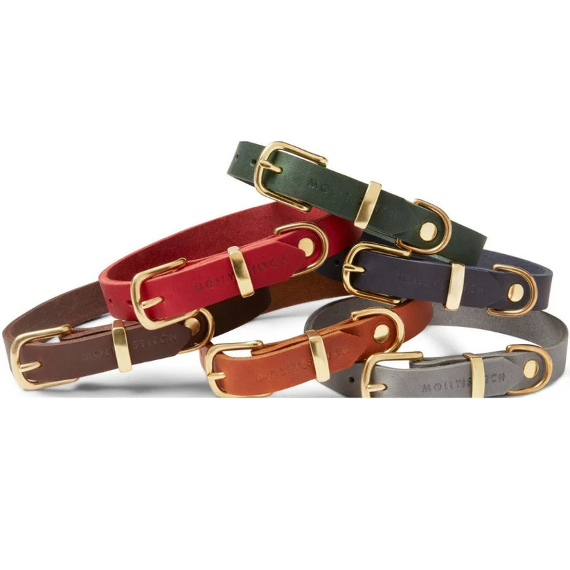 Molly & Stitch Cuir beurré — Ensemble collier et laisse 3x, Marron Classique
