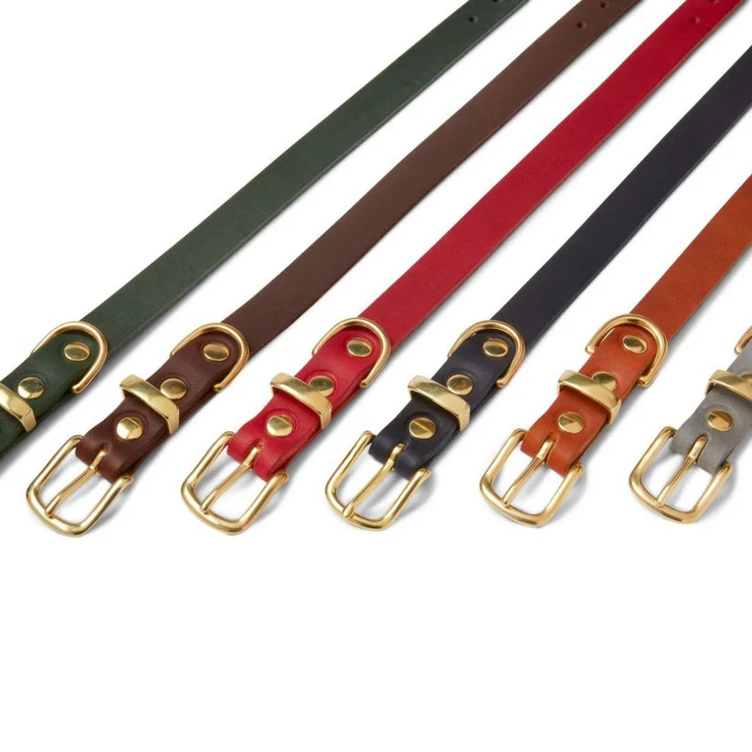 Molly & Stitch Cuir beurré — Ensemble collier et laisse 3x, Marron Classique