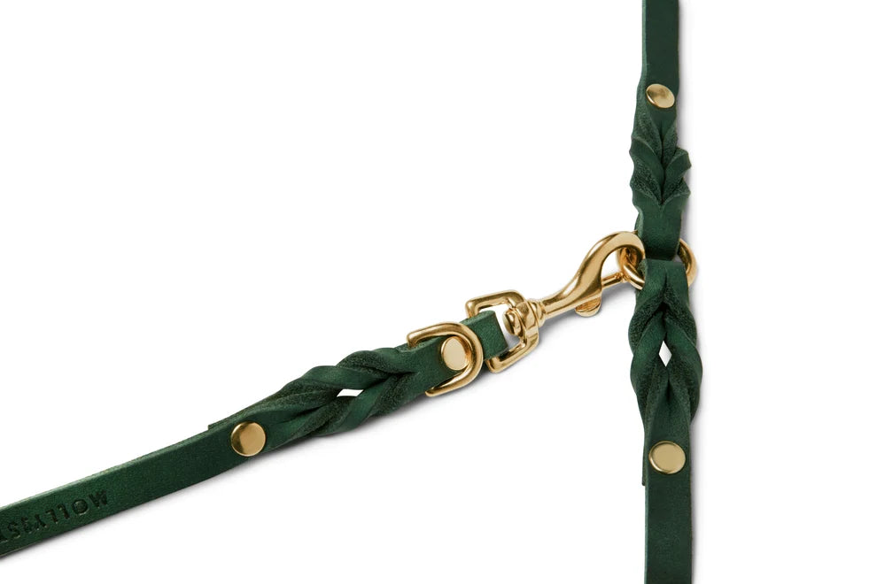 Molly & Stitch Cuir beurré — Le Trio collier, laisse 3x et harnais en Y, Vert Forêt