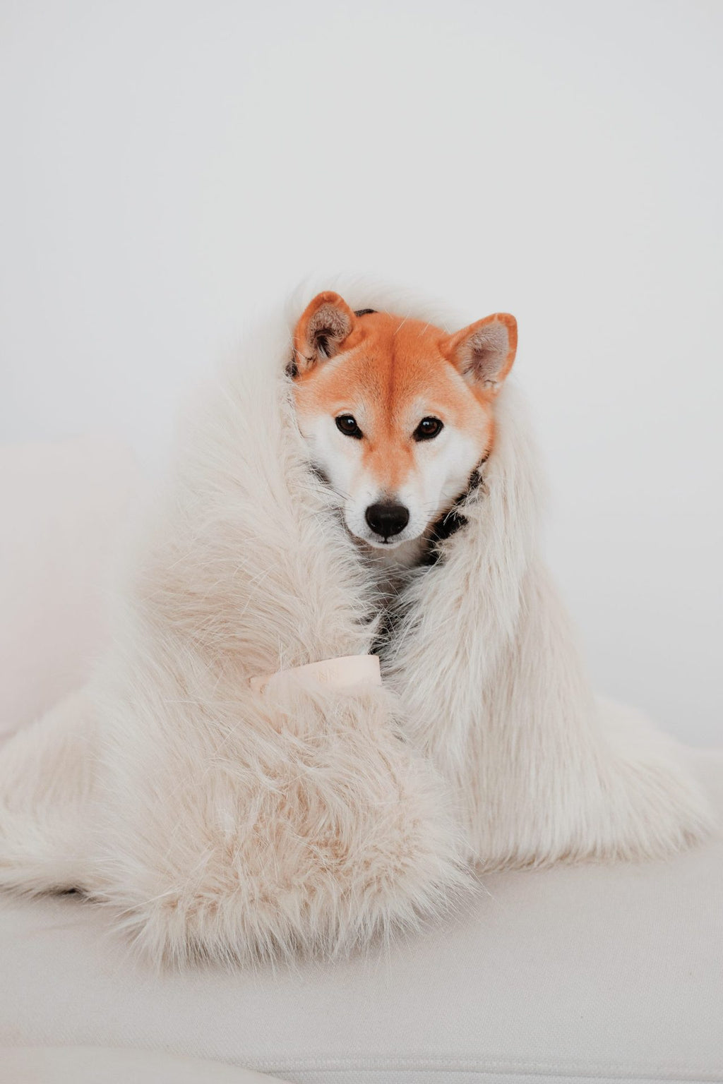 Couverture FÖRA blanche en situation avec un chien
