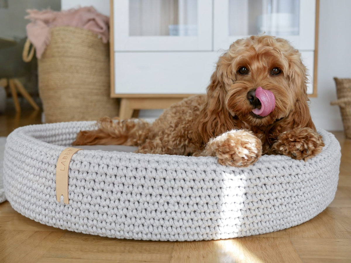 Lit pour chien Labbvenn Lukko en situation dans un intérieur