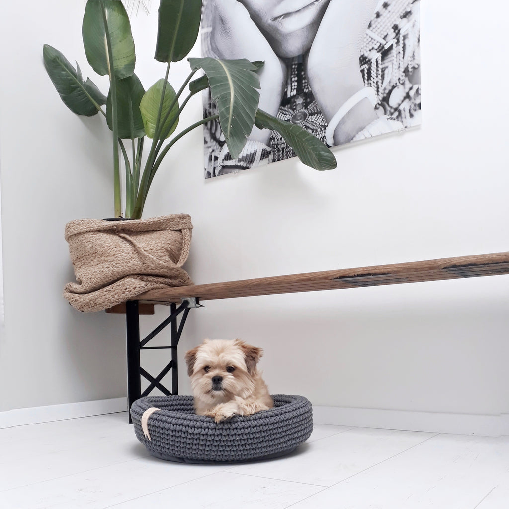 Labbvenn COCO & FÖRA — Le panier pour petit chien et son plaid
