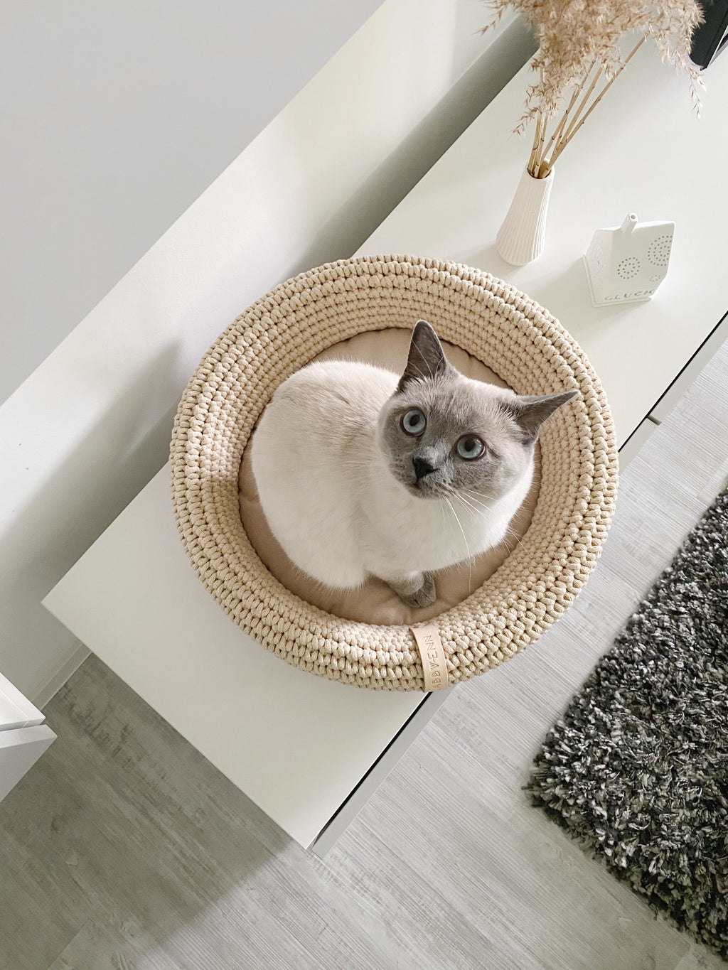 Labbvenn COCO & FÖRA — Le panier pour chat et son plaid