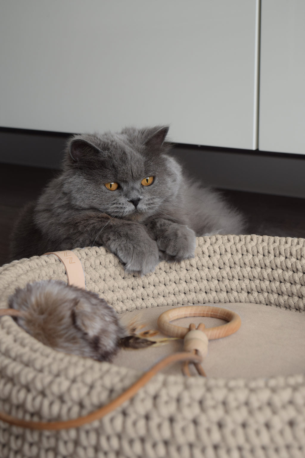 Labbvenn COCO & FÖRA — Le panier pour chat et son plaid