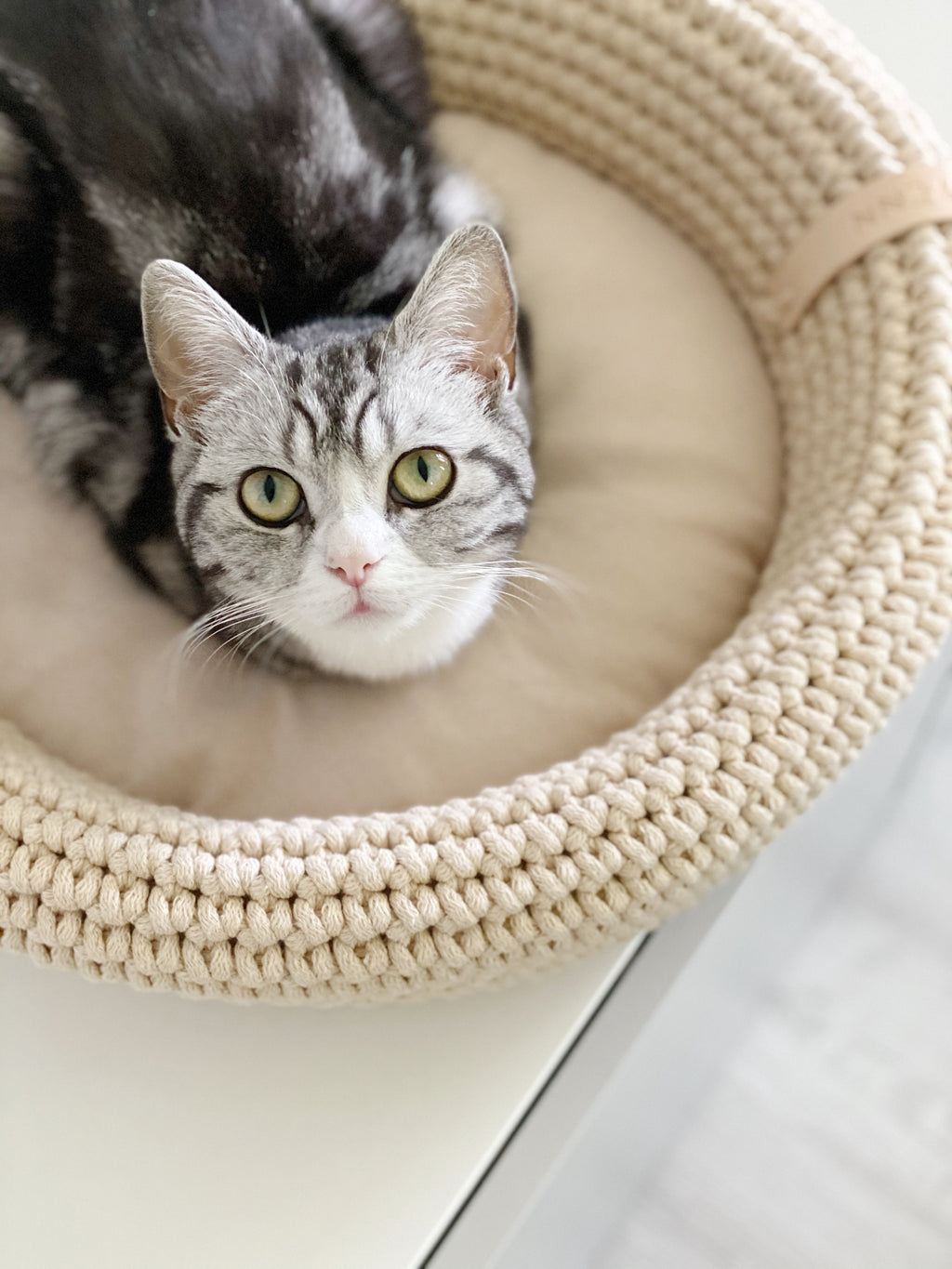 Labbvenn COCO & FÖRA — Le panier pour chat et son plaid