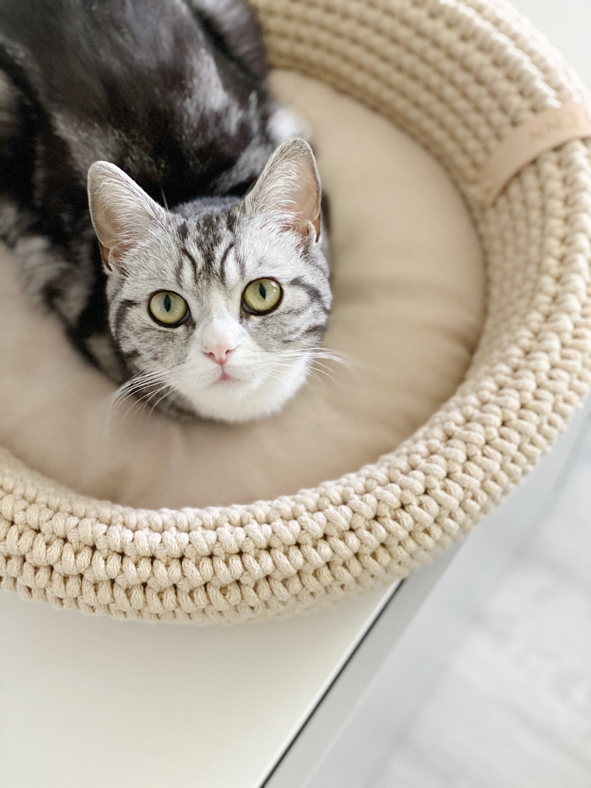 Labbvenn COCO & FÖRA — Le panier pour chat et son plaid