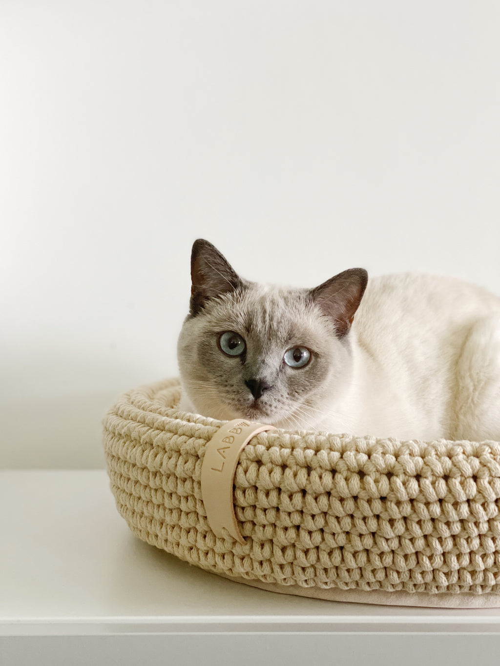 Labbvenn COCO & FÖRA — Le panier pour chat et son plaid