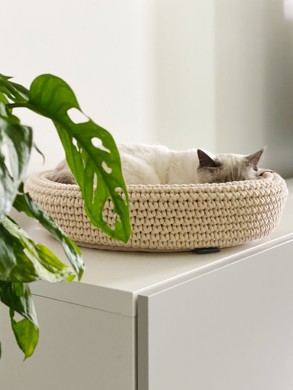 Labbvenn COCO & FÖRA — Le panier pour chat et son plaid