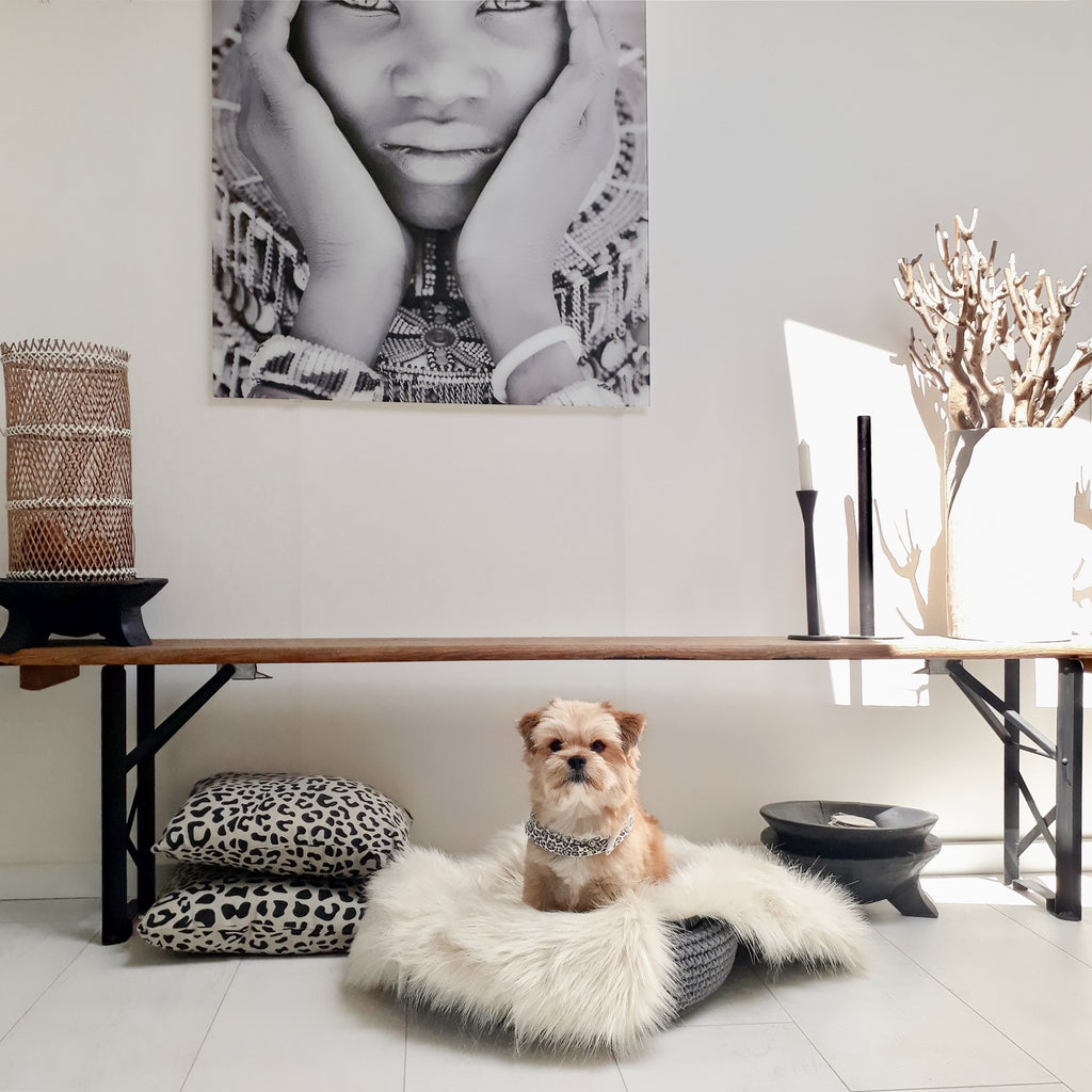 Labbvenn COCO & FÖRA — Le panier pour petit chien et son plaid