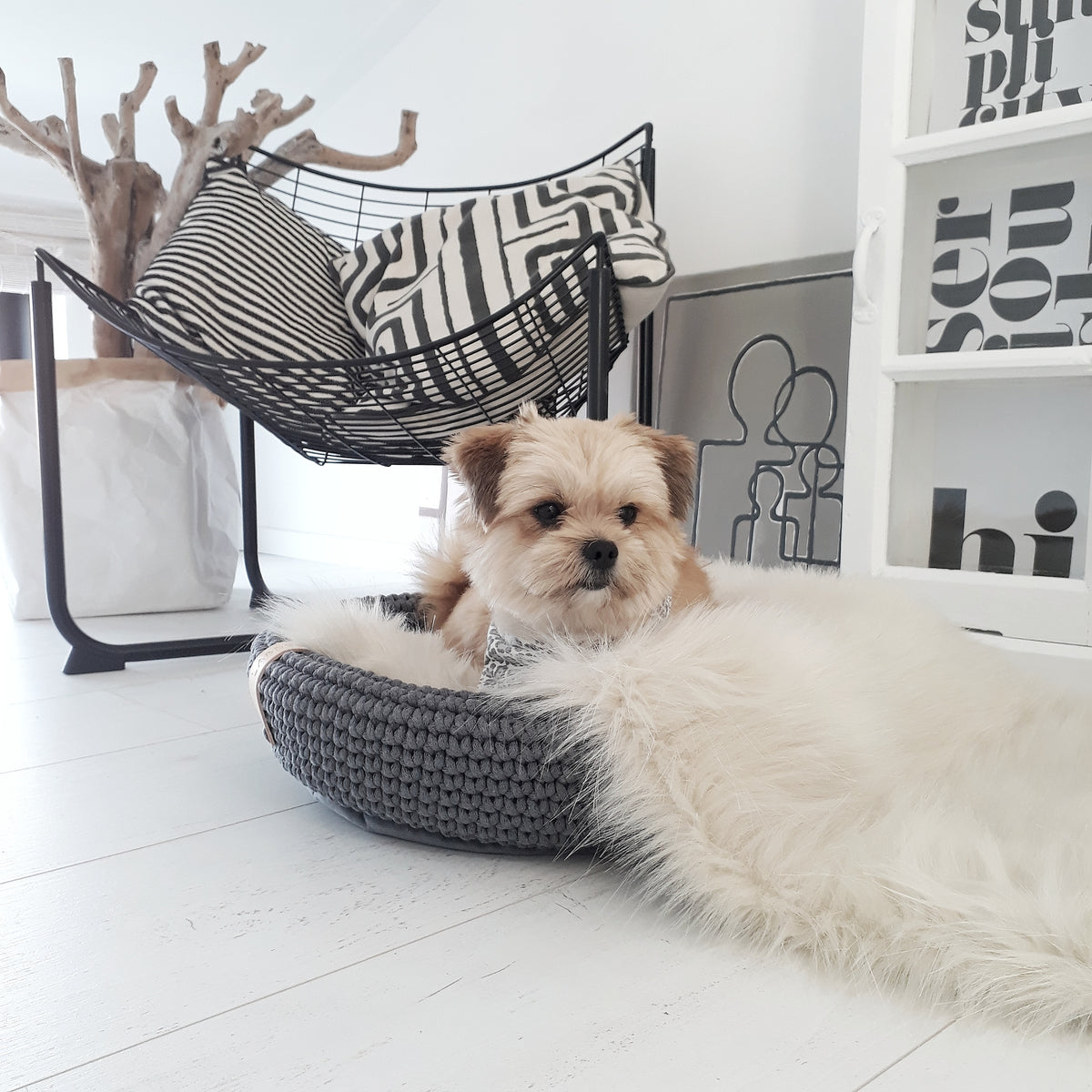 Labbvenn COCO & FÖRA — Le panier pour petit chien et son plaid