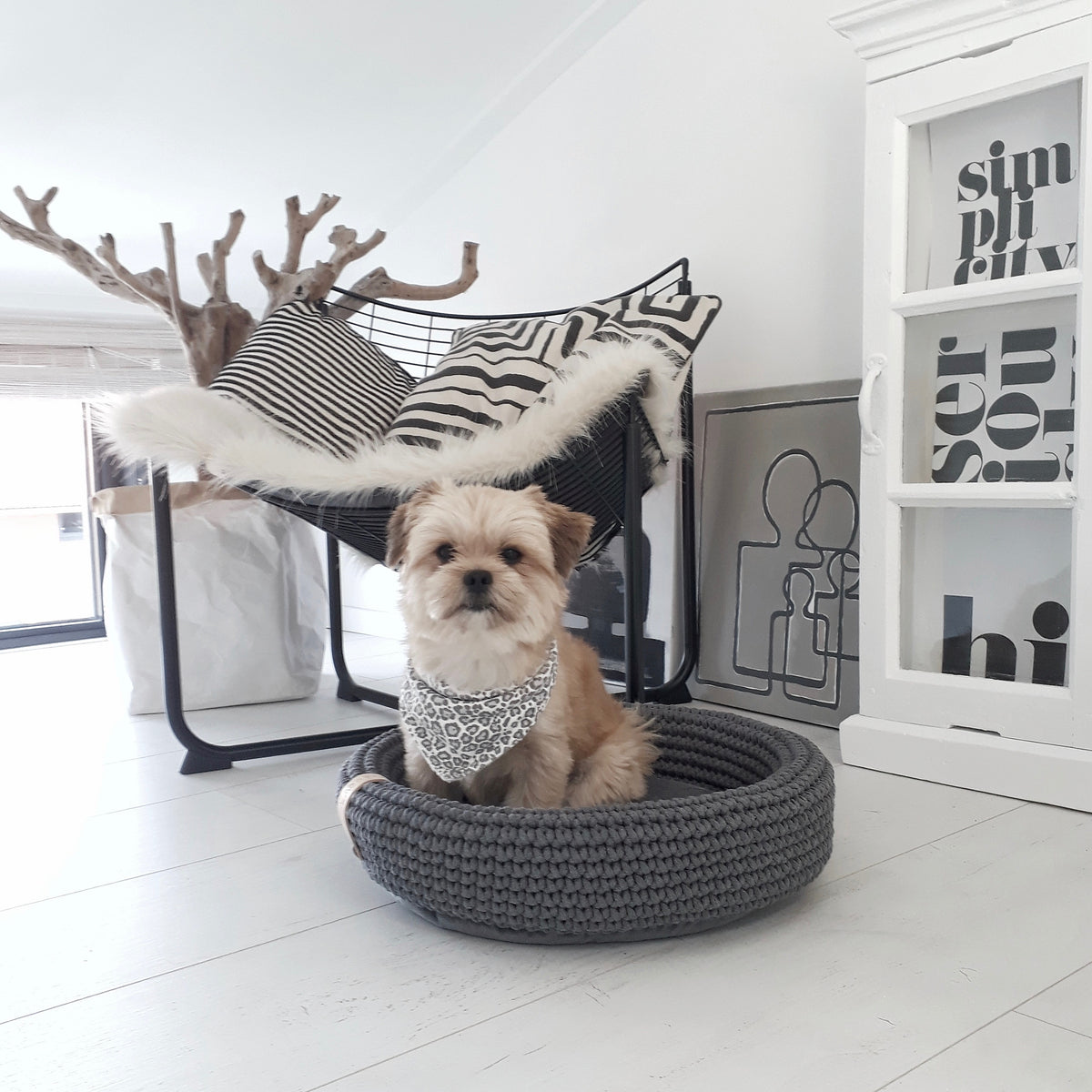 Labbvenn COCO & FÖRA — Le panier pour petit chien et son plaid