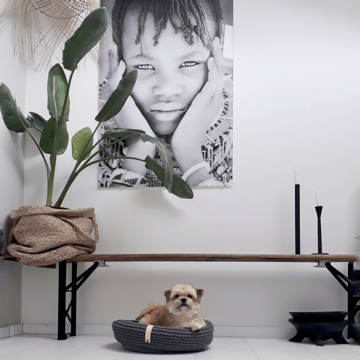 Labbvenn COCO & FÖRA — Le panier pour petit chien et son plaid