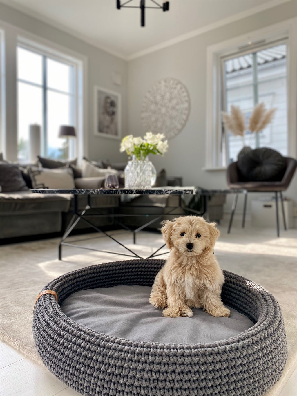 Labbvenn LUKKO — Lit pour chien