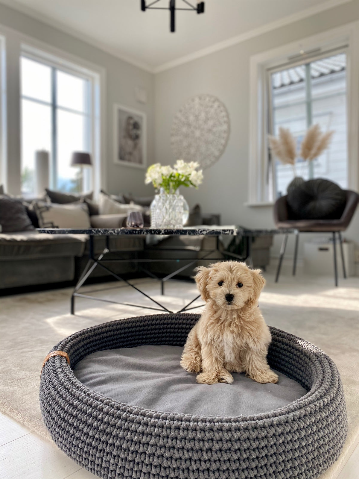 Labbvenn LUKKO — Lit pour chien