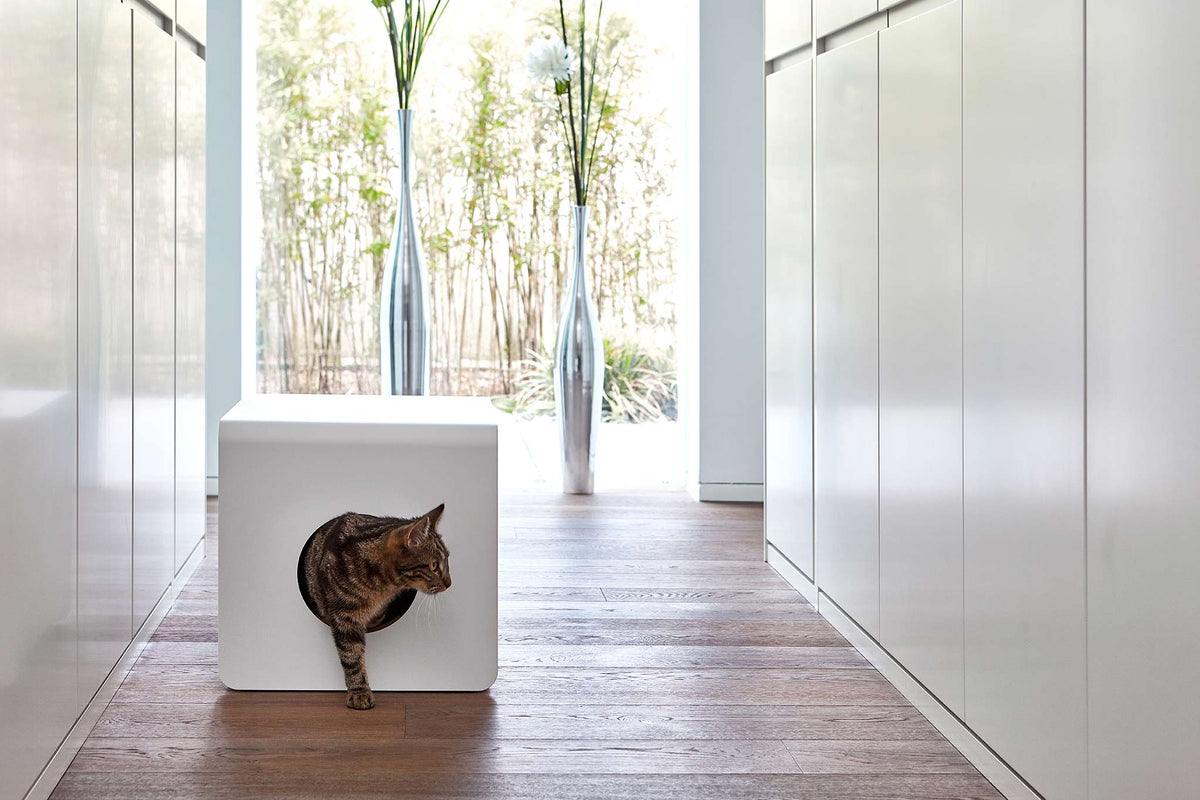 Maison de toilette pour chat MiaCara Sito. © MiaCara