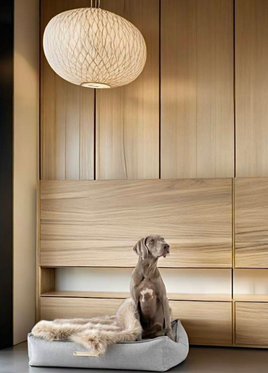 Lit pour chien Labbvenn MØVIK en situation