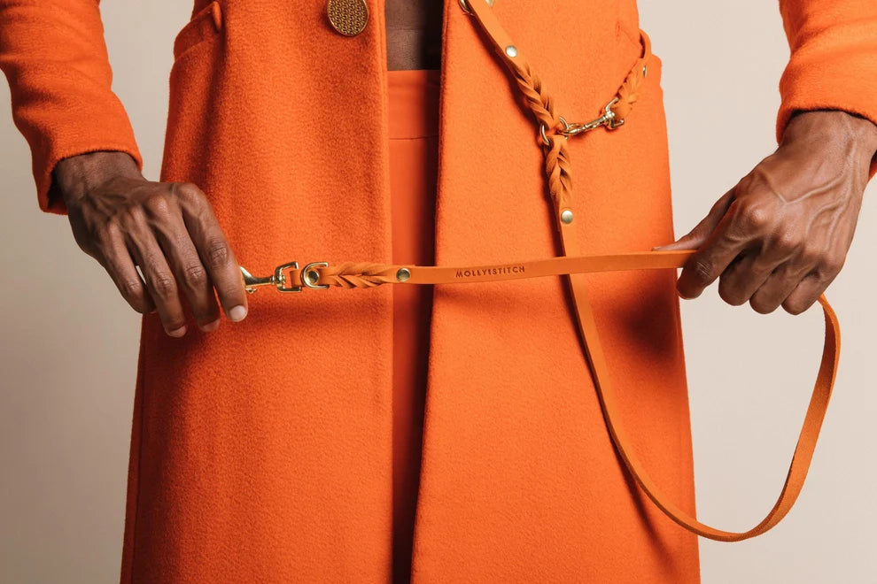 Molly & Stitch Cuir beurré — Ensemble collier et laisse 3x, Mangue
