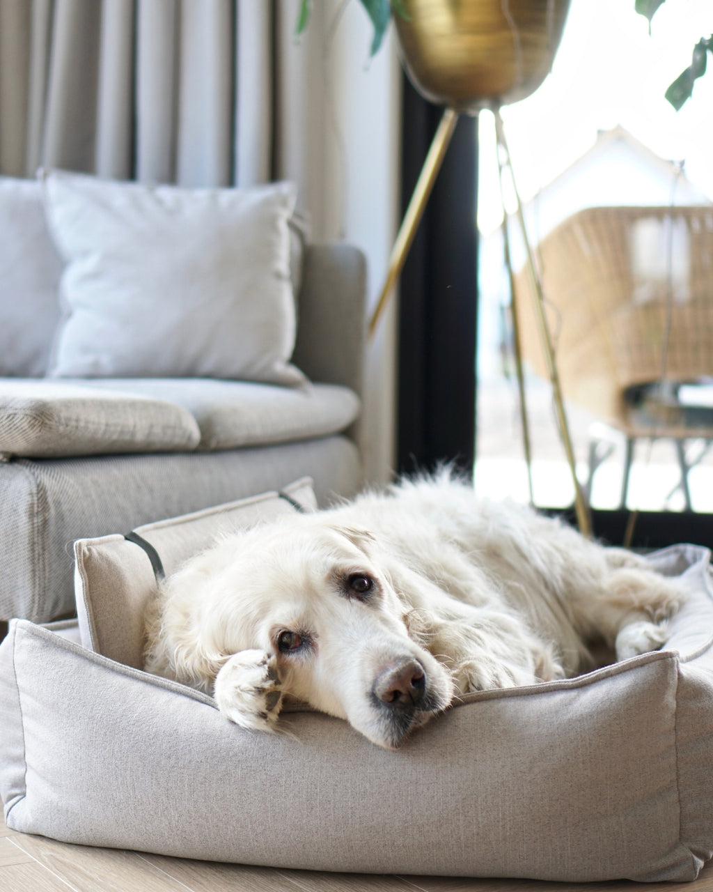 Labbvenn ORTEO — Lit orthopédique pour chien