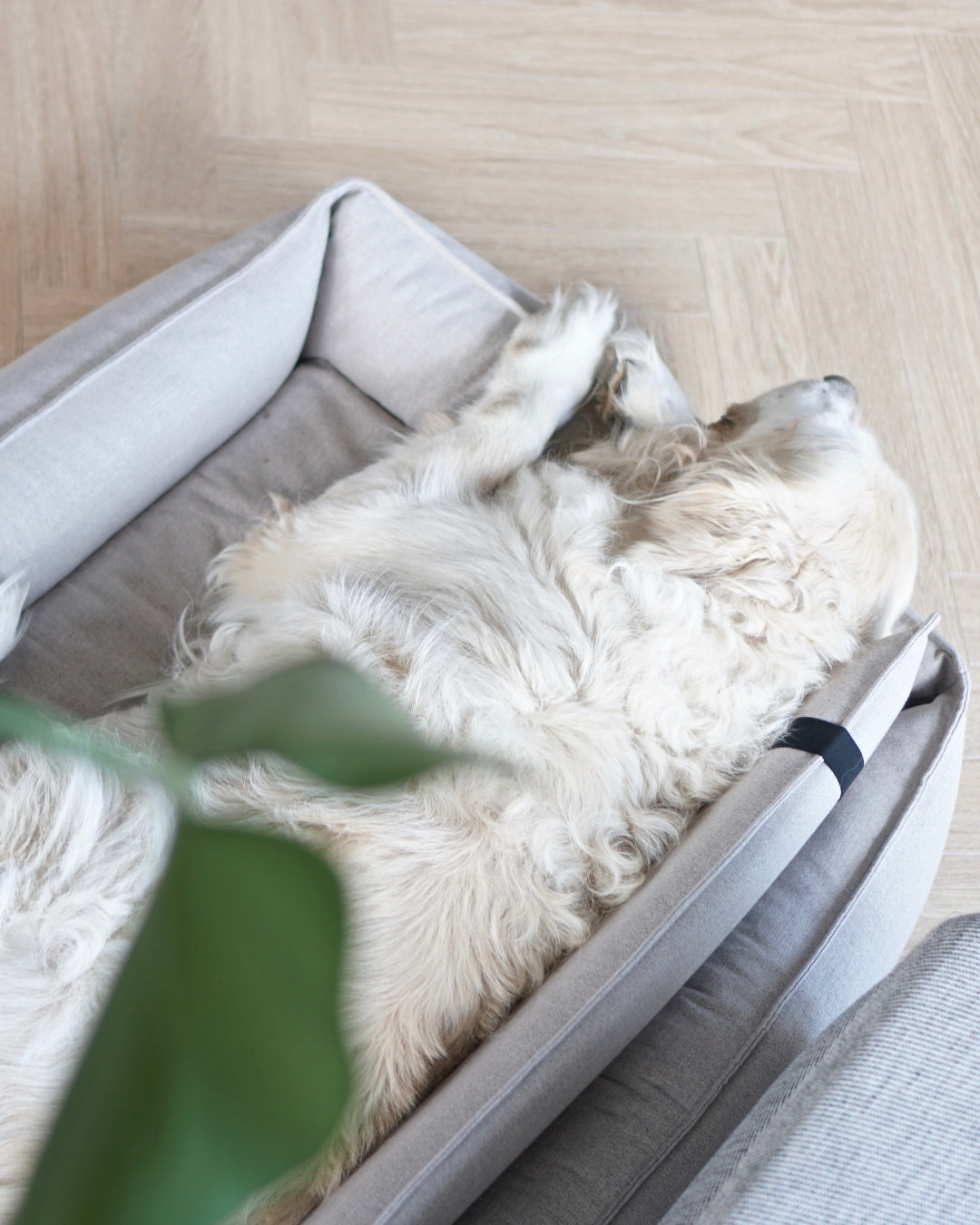 Labbvenn ORTEO — Lit orthopédique pour chien