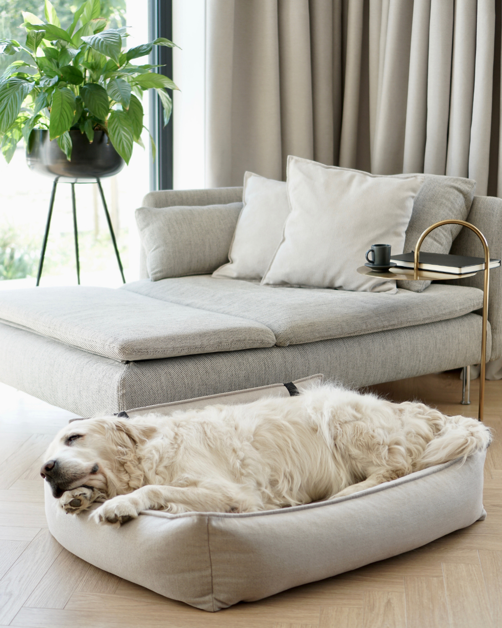 Labbvenn ORTEO — Lit orthopédique pour chien