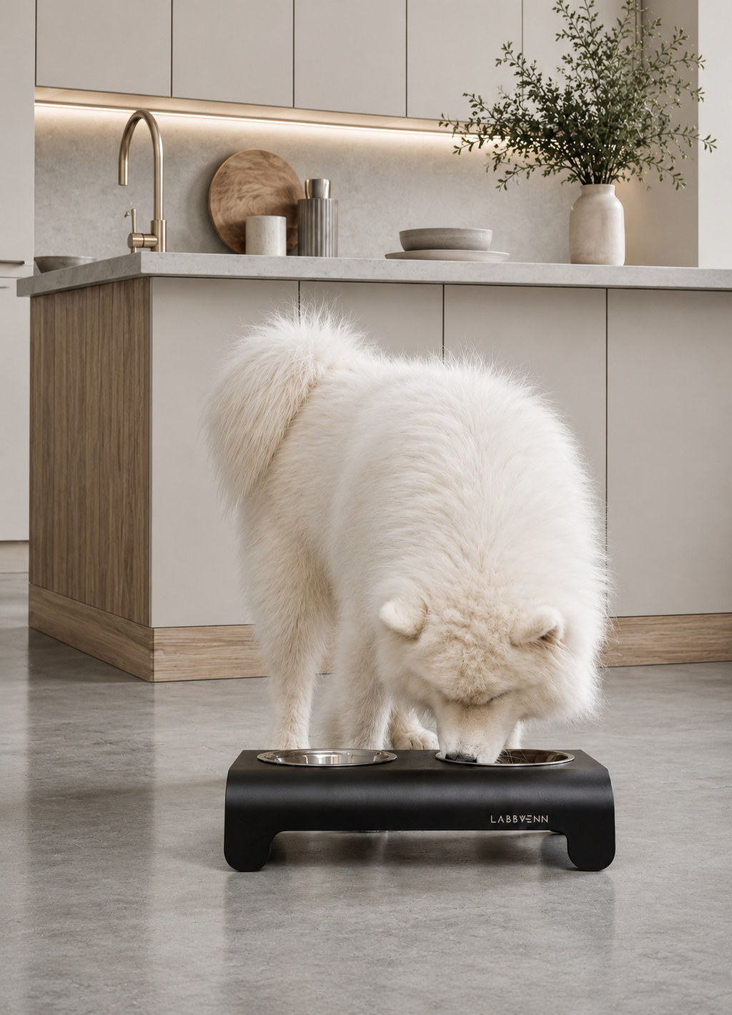 Labbvenn RICO — Support de gamelles pour chien
