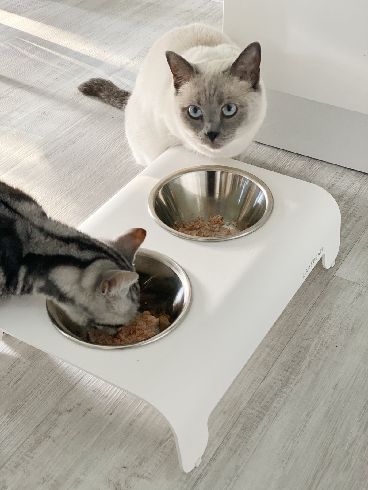 Support de gamelles surélevé Labbvenn RICO pour chat