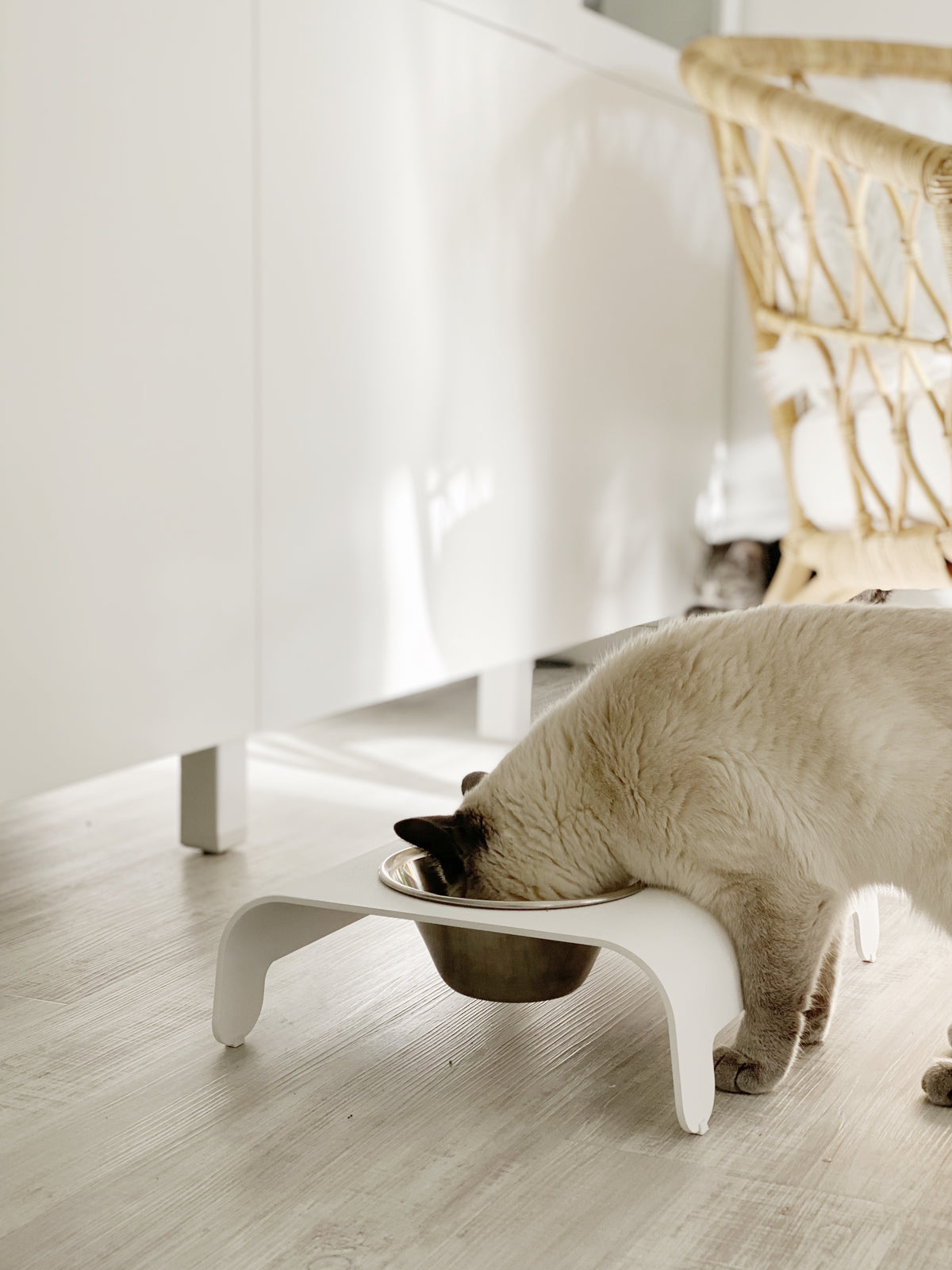 Support de gamelles surélevé Labbvenn RICO pour chat
