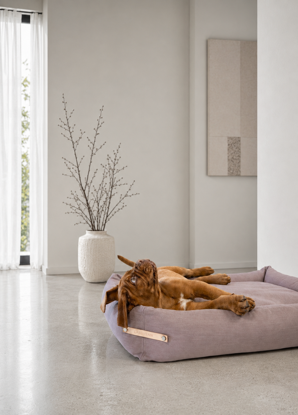 Labbvenn STOKKE Lit pour chien