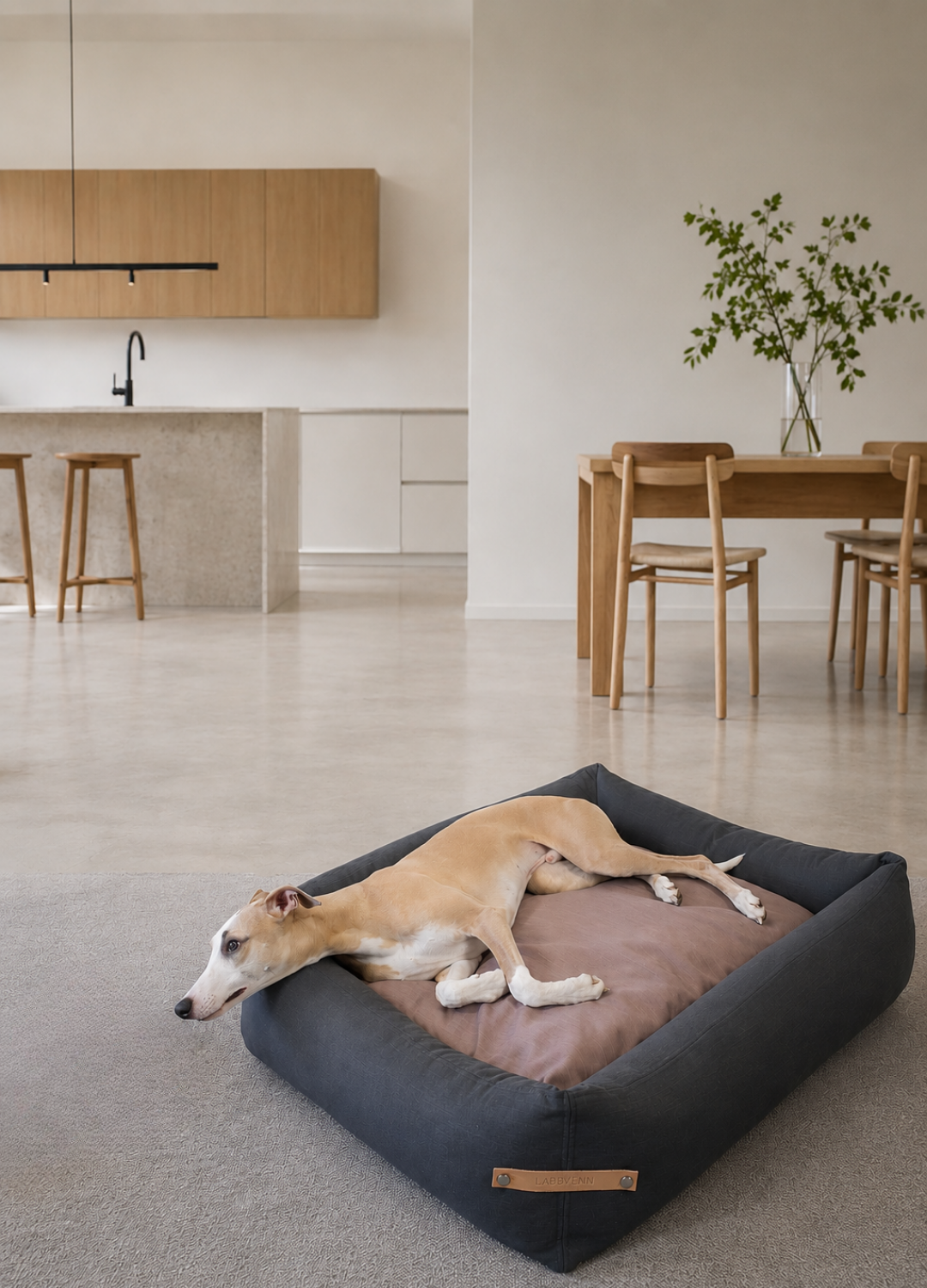 Labbvenn STOKKE Lit pour chien
