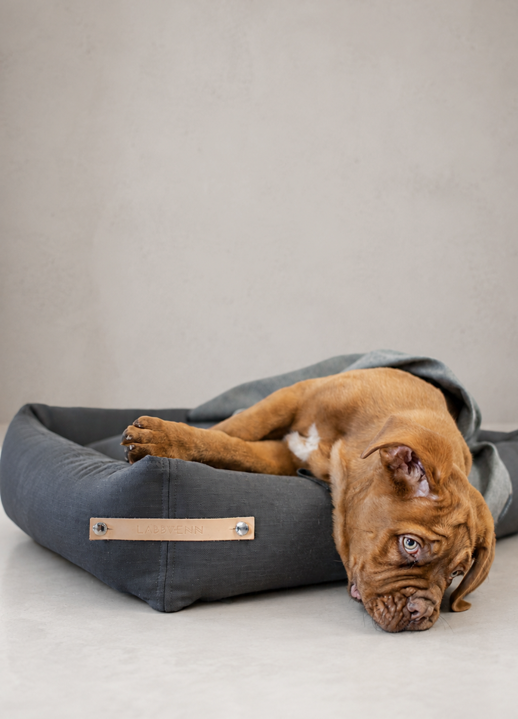 Labbvenn STOKKE Lit pour chien