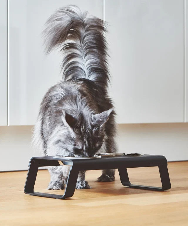 MiaCara Desco Mangeoire pour chats (gamelles acier inoxydable)
